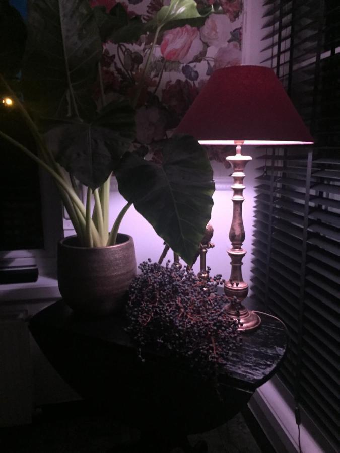Bed and Breakfast Huyze-peppins Maldegem Esterno foto